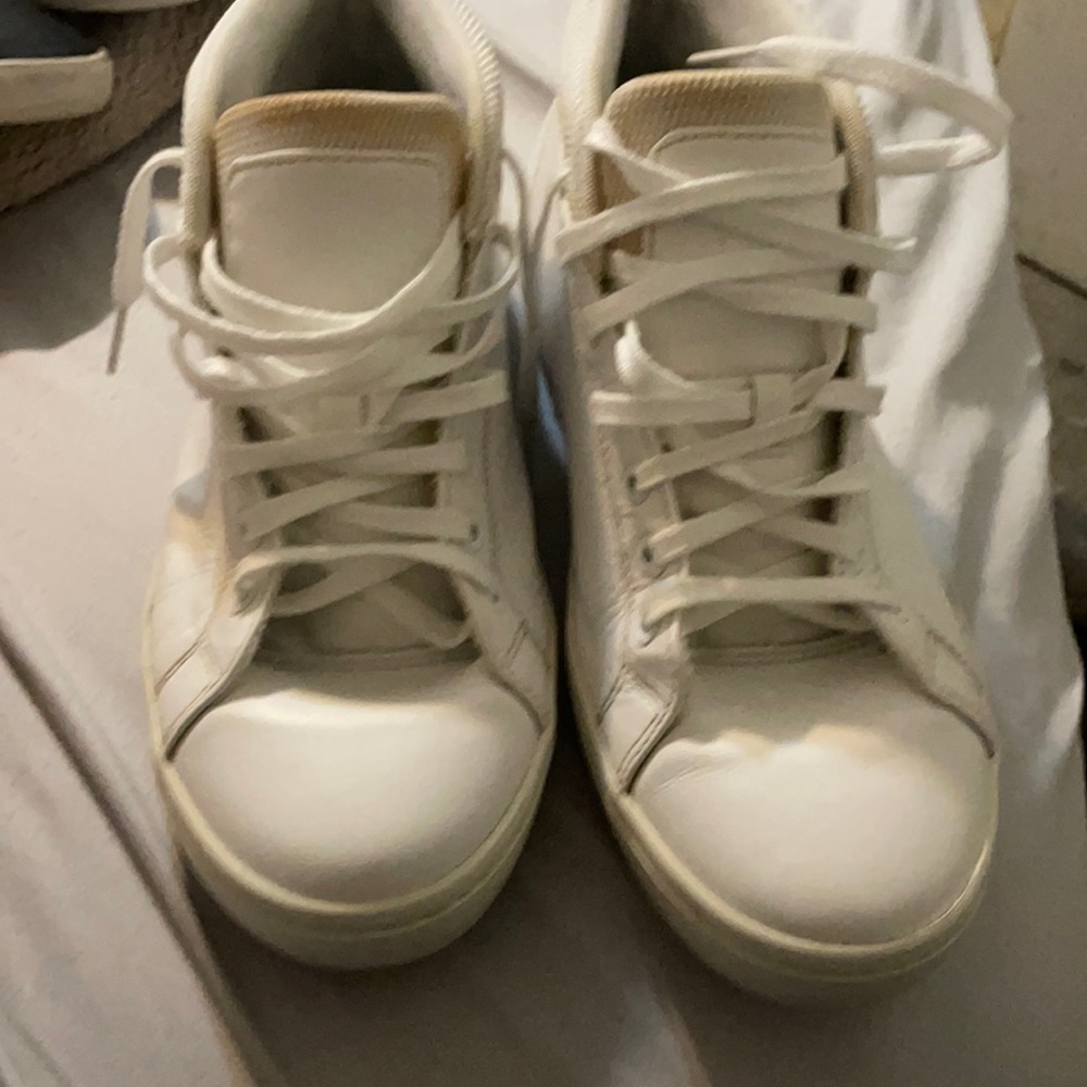 Lacoste men’s sneakers